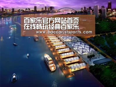 案例展示八