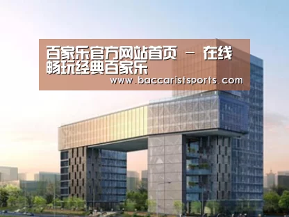 案例展示四