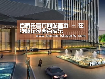 案例展示二