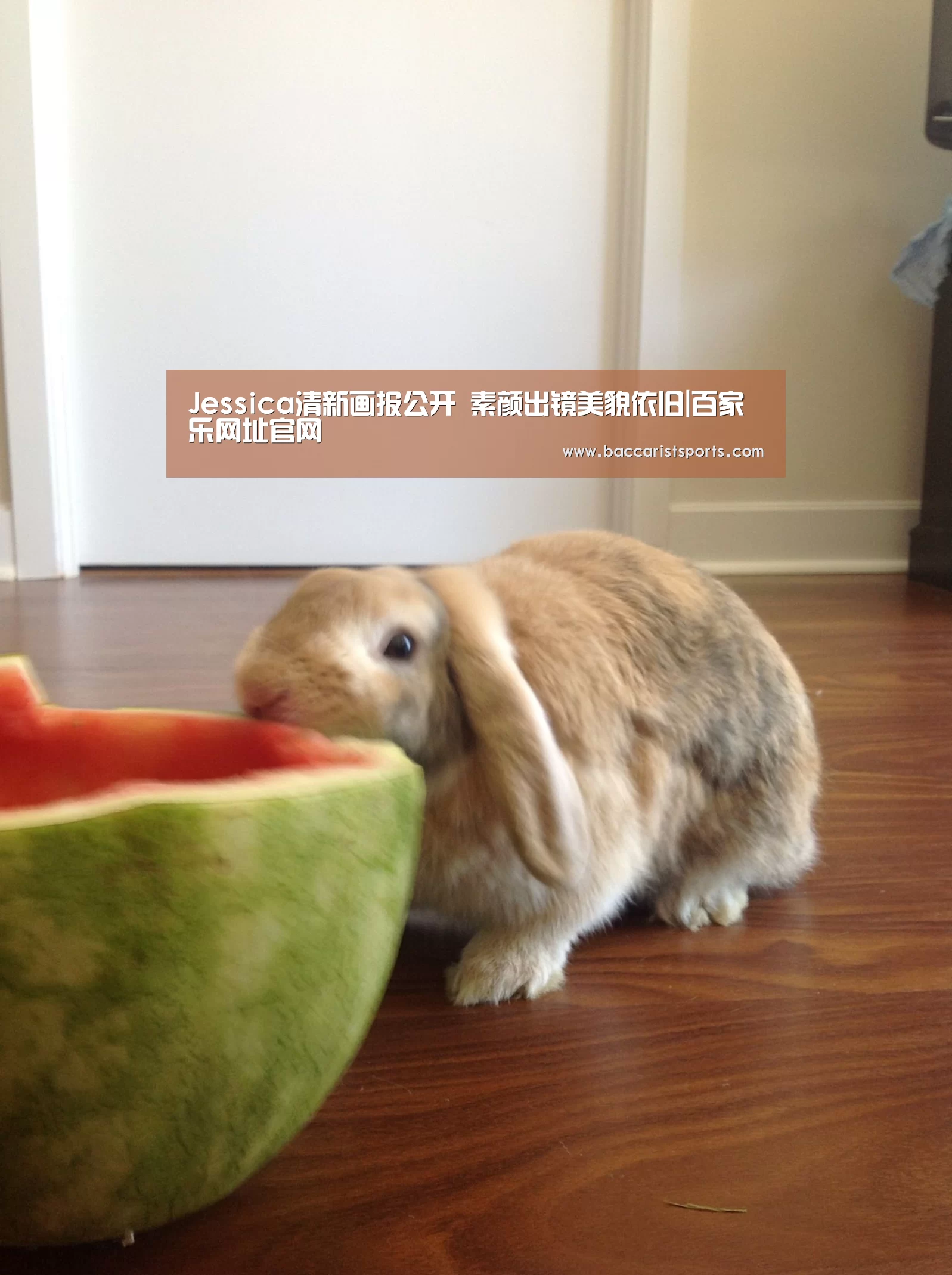 Jessica清新画报公开 素颜出镜美貌依旧|百家乐网址官网(图1) 百家乐网址直播